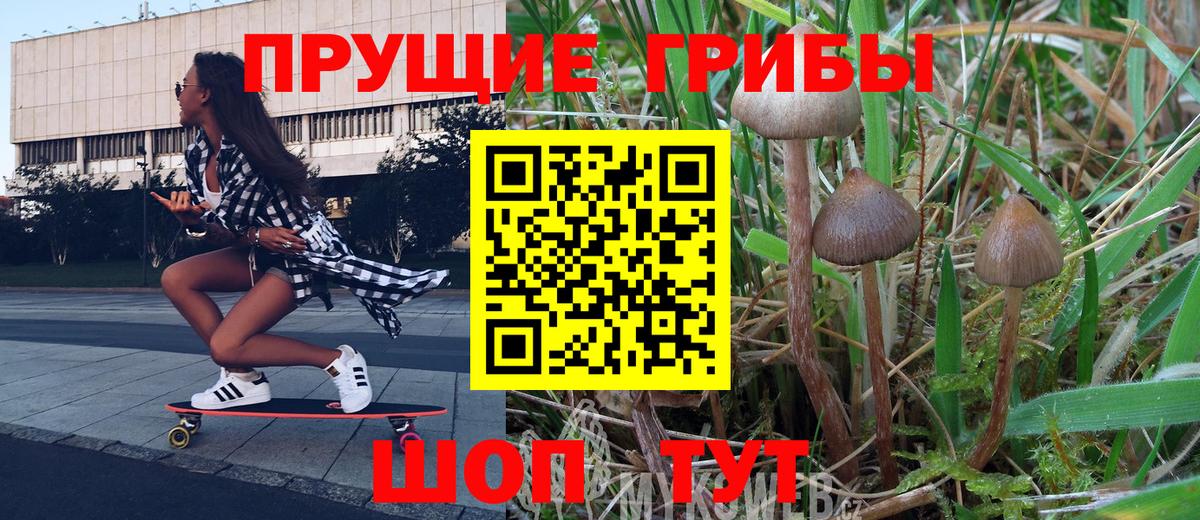 Екатеринбург  Псилоцибиновые грибы мицелий  Вход с VPN 